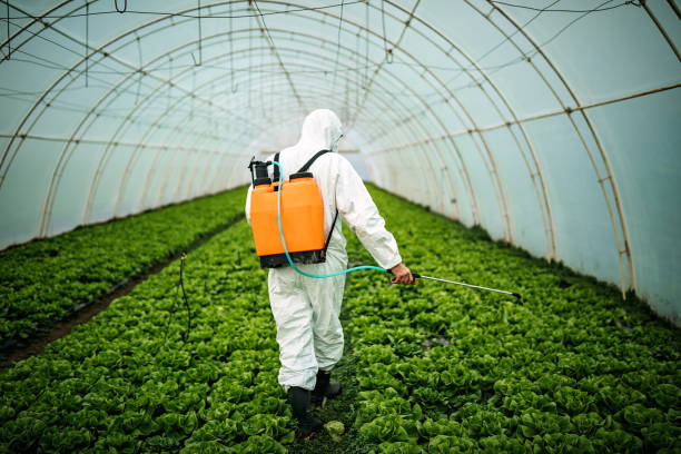 Best Affordable Pest Control Services  in Argos, IN