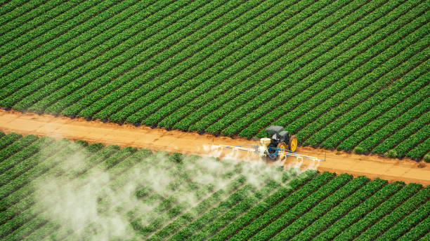 Best Pest Removal Services  in Argos, IN