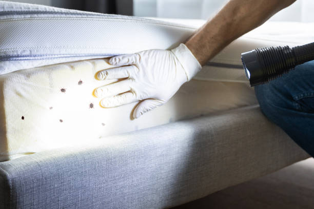 Best Affordable Exterminators  in Argos, IN
