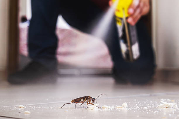 Spider Control Near Me in Argos, IN