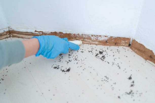 Best Local Pest Control Services  in Argos, IN